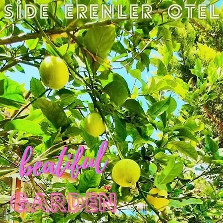 Erenler