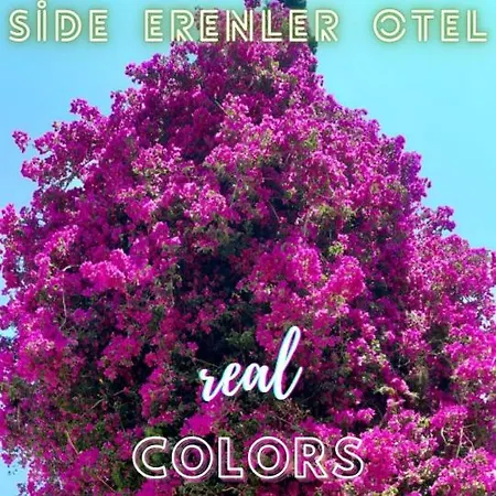 호텔 Erenler