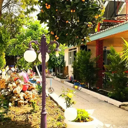 ホテル Erenler シダ